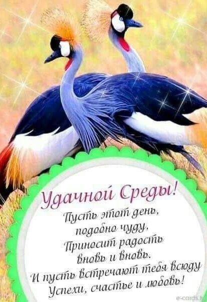 Карина - фото