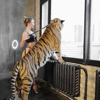 Фото галереи